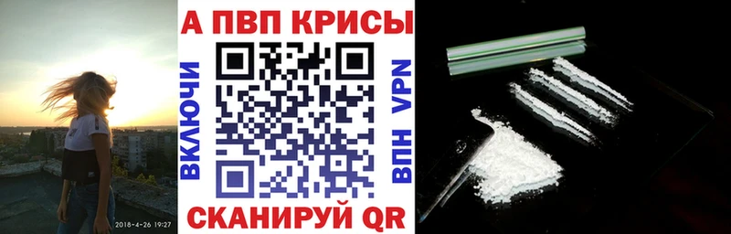 А ПВП крисы CK Ельня