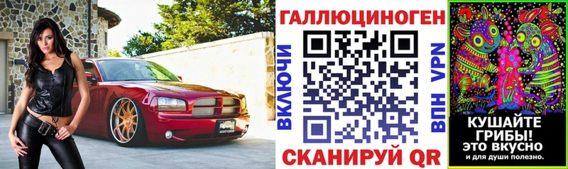 Галлюциногенные грибы Psilocybe  Ельня 